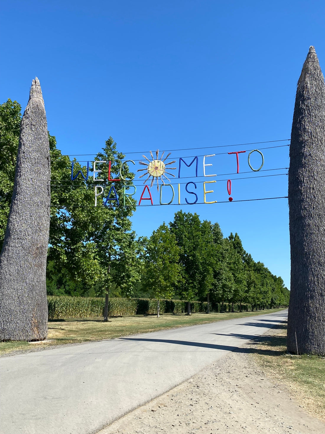 OZORA Festival Gate