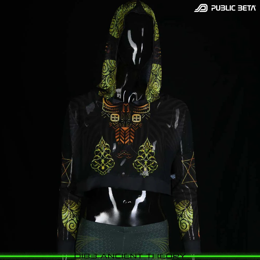 Ancient Theory D183 / Blacklight Active Hooded Mesh Top