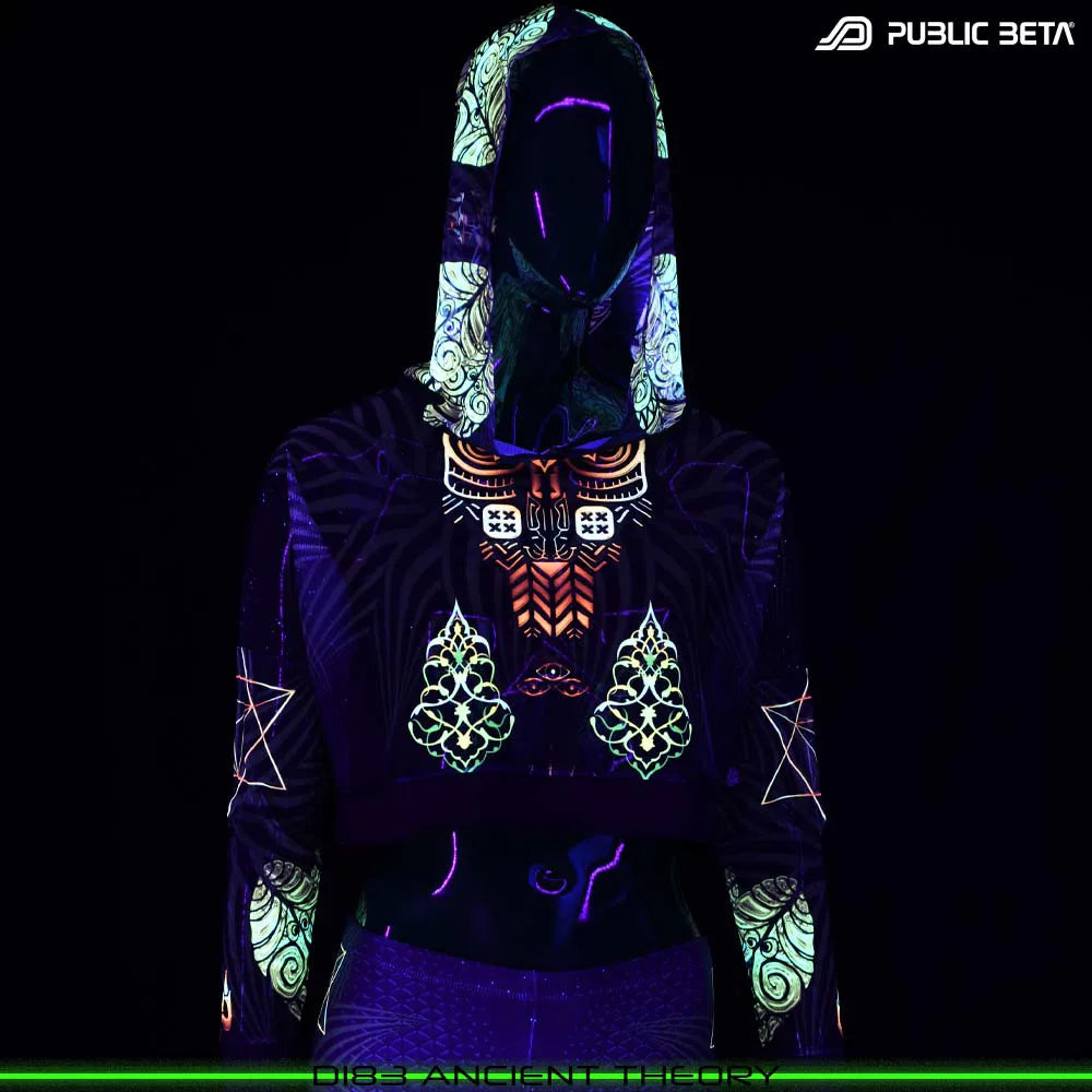 Ancient Theory D183 / Blacklight Active Hooded Mesh Top