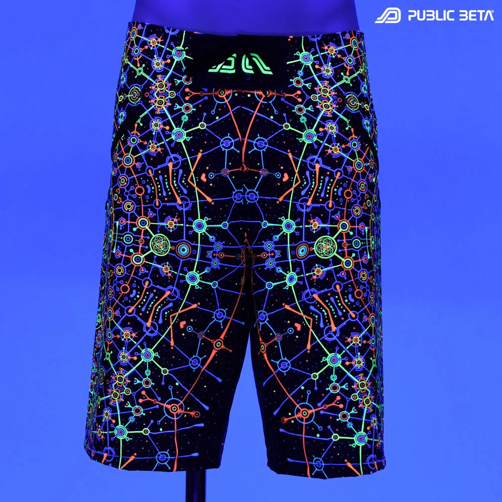 DMT D187 / CAOS CONZEPT BOARDSHORTS